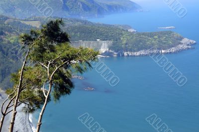The Black Sea