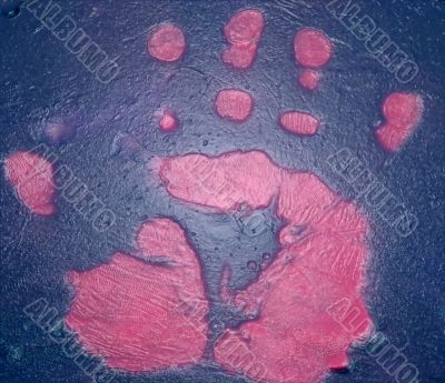 Full Hand Print on Silicon