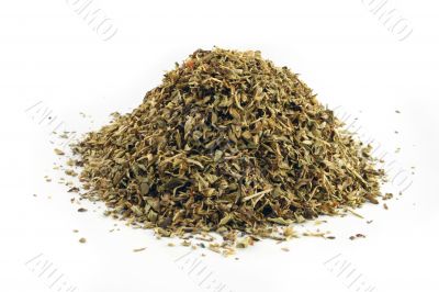Oregano on an isolated background