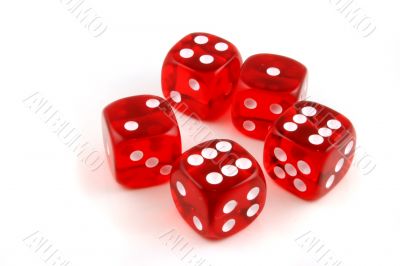 5 dice thrown onto the table