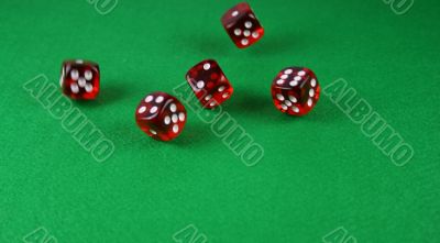 An Action shot of 5 dice thrown onto the table