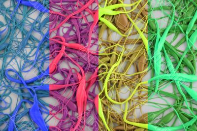 Neurons 1