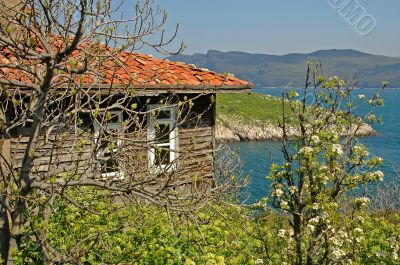 Amasra