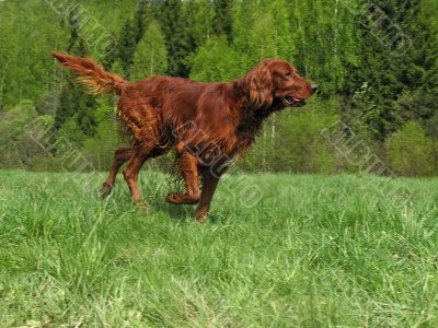 Running setter