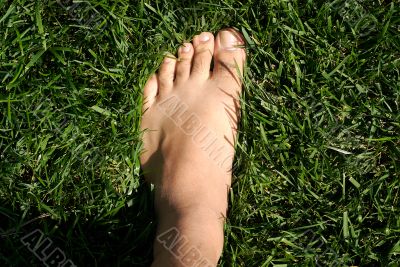 feet