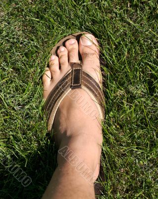 feet