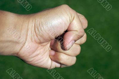 fist