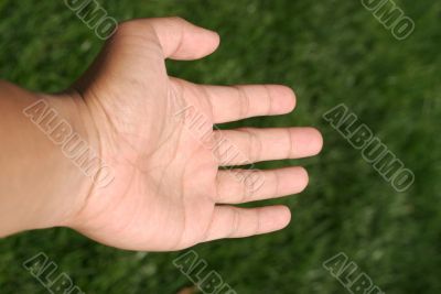 palm of hand