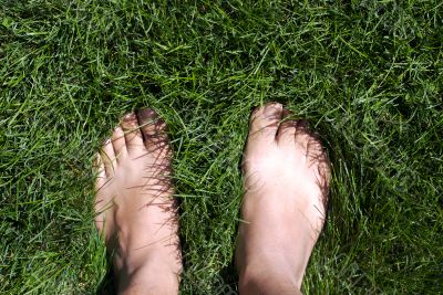 feet