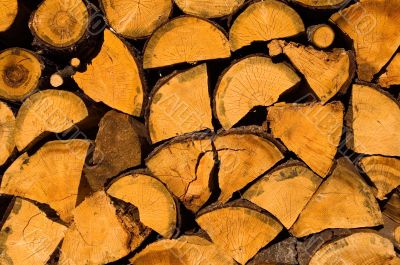Wood