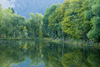  reflection