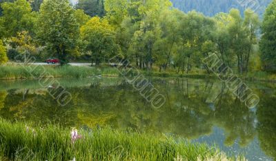  reflection