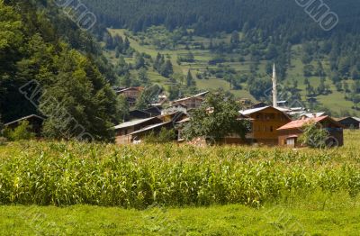 Turkish Village