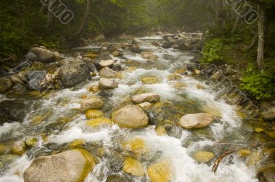 Stream