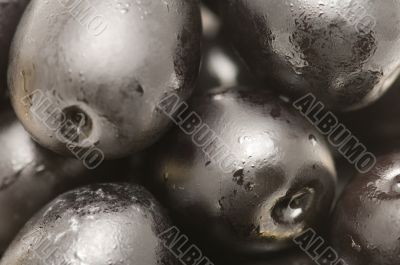 Olive Macro