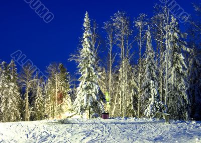 nightly landscape