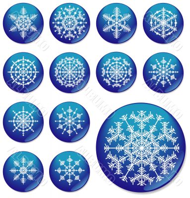 Thirteen snowflakes. The vector image.
