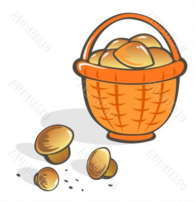 Mushrooms in a basket