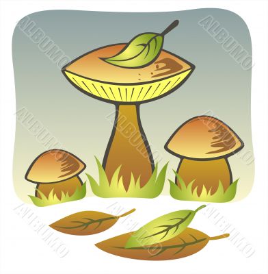 Three mushrooms
