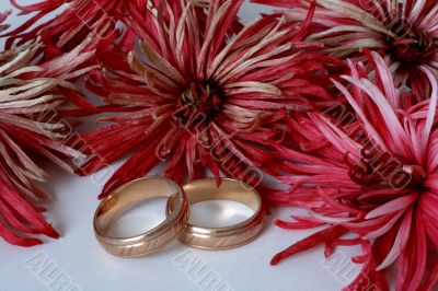Flowers and wedding rings