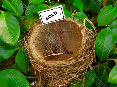 bird nest - real estate 2