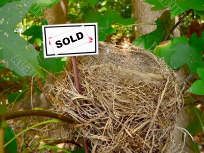 bird nest - real estate 3