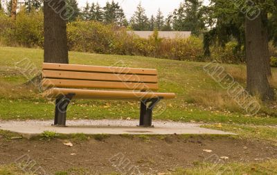Bench on a Hill