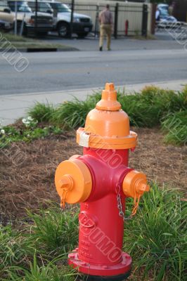 color full fire hydrant