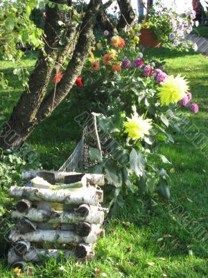 composition in the garden from flowers