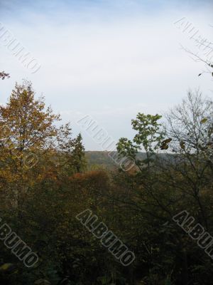 landscape taken from the hill