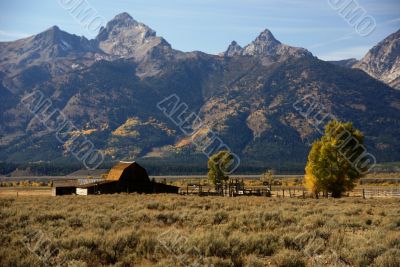 Western buildings with Tetons
