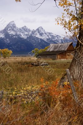 Autumn, Grand Tetons