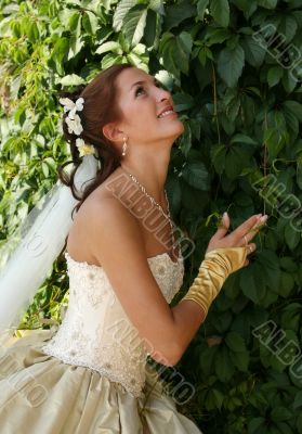 Beautiful bride