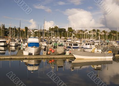 Net Boats