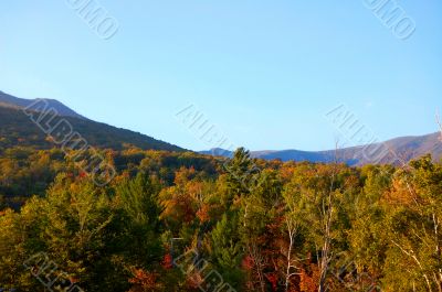 mountain foliage