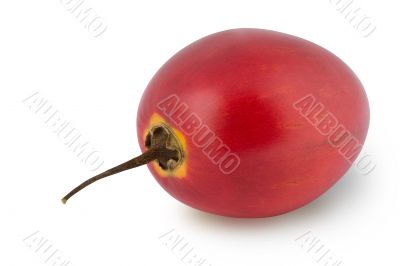 Tomarillo isolated