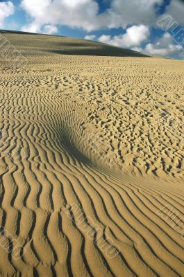 Desert, dune, sand graphic.