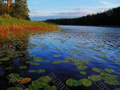 lake cane illuminate sunset rays