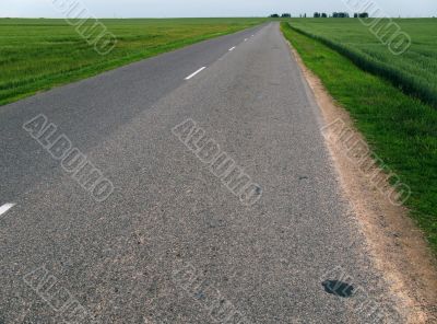 asphalt road and rural field
