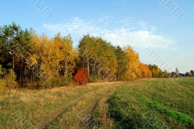 Autumn landscape 2