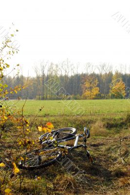 Bicycle on a grass