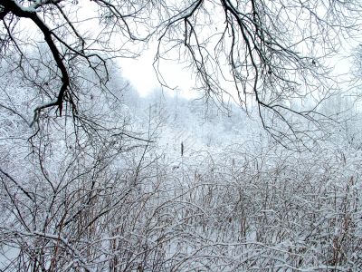 Winter ornament
