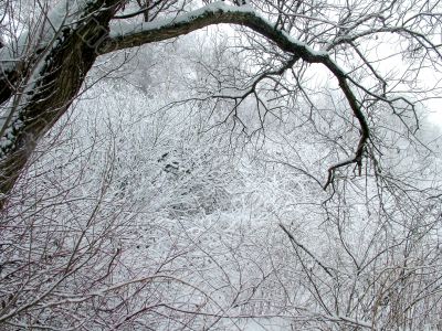Winter ornament