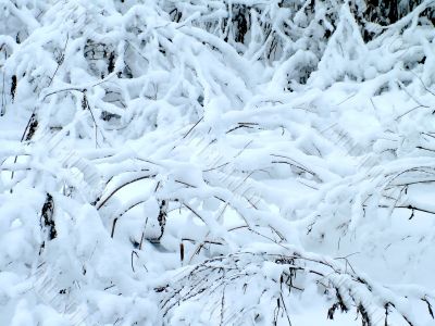 Winter ornament