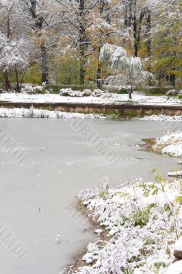 Pond in the park.