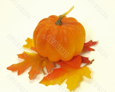 Pumpkin on Leaf Pile