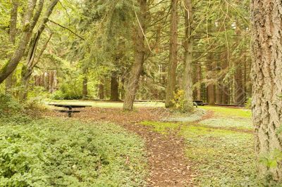 Paradise Picnic Grounds