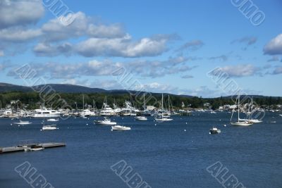 Boats in harbor
