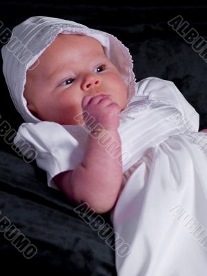 Baby Girl Portrait