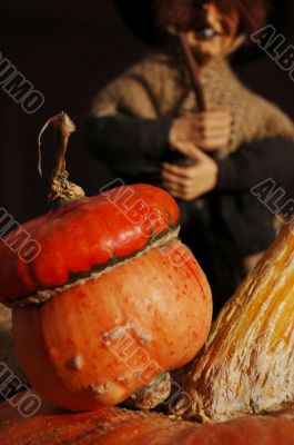 Autumn pumpkin composition